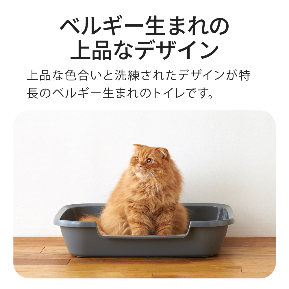 ベルギー生まれの上品なデザイン
