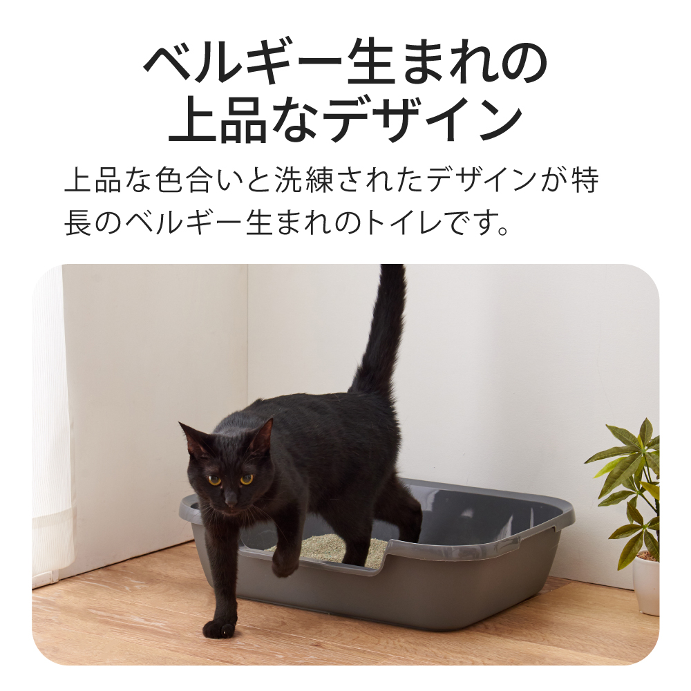 OFT (サマーセール開催中7/18-7/31) [Kitty and Puppy Pan S] 猫