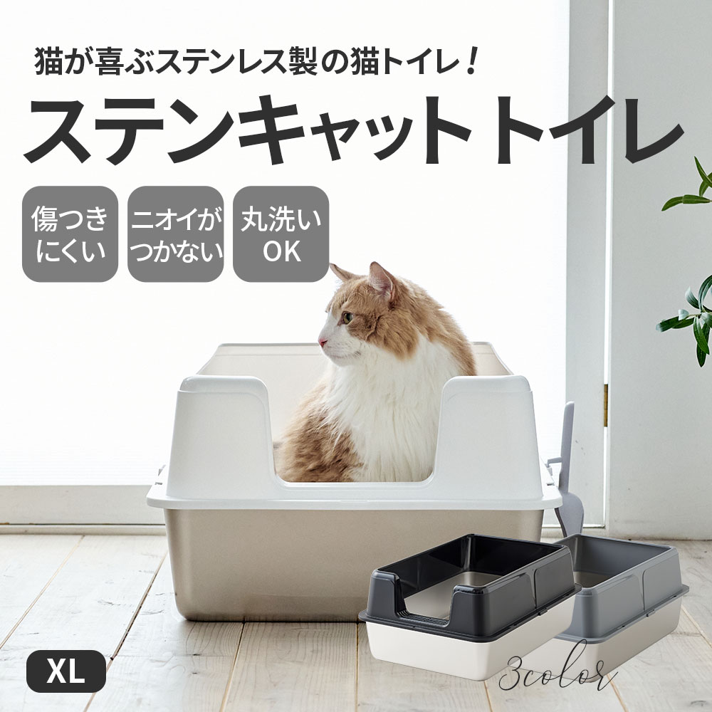 XLサイズ
