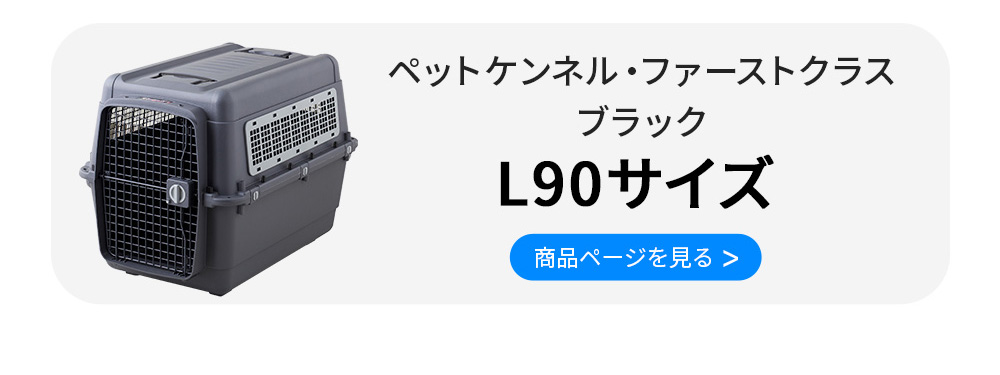 本体の購入はこちら　ブラックエディション
