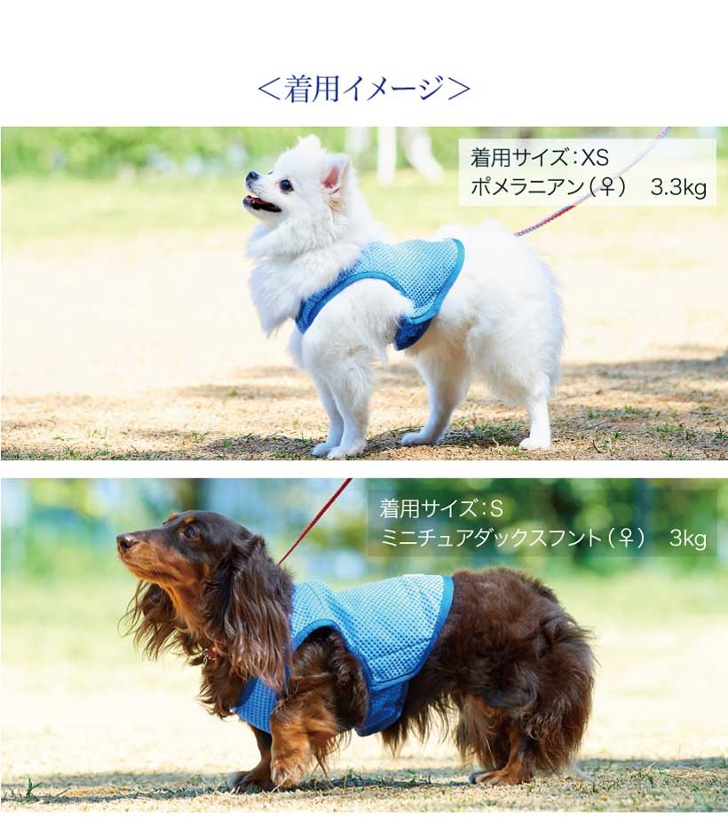 アイスベスト２