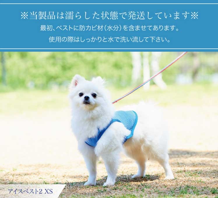 アイスベスト２