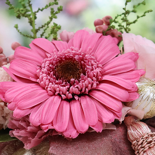 プリザーブドフラワー 和風 和 ガーベラ 退職祝い ギフト アレンジ プレゼント 贈り物 お供え お悔やみ 供花 お彼岸 送料無料 クリスマス | プリザーブドフラワーIPFA | 01