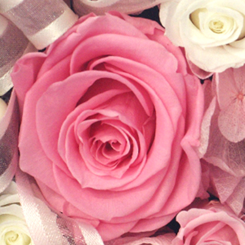 プリザーブドフラワー box リングピロー 母の日 ギフト プレゼント 花 メモリアルメッセージボックス Happy Mothers Day | プリザーブドフラワーIPFA | 01