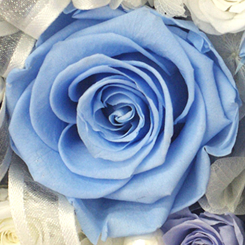 プリザーブドフラワー box リングピロー 母の日 ギフト プレゼント 花 メモリアルメッセージボックス Happy Mothers Day | プリザーブドフラワーIPFA | 03