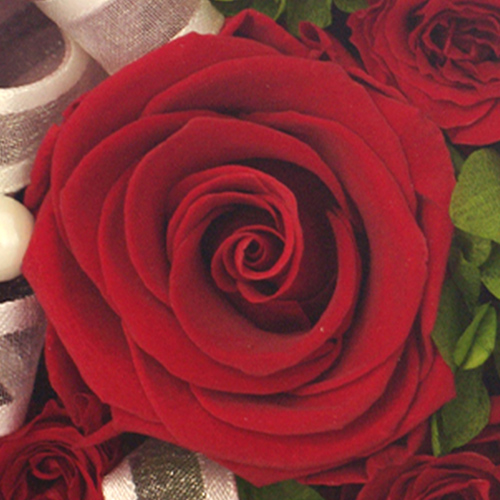 プリザーブドフラワー box リングピロー 母の日 ギフト プレゼント 花 メモリアルメッセージボックス Happy Mothers Day | プリザーブドフラワーIPFA | 02