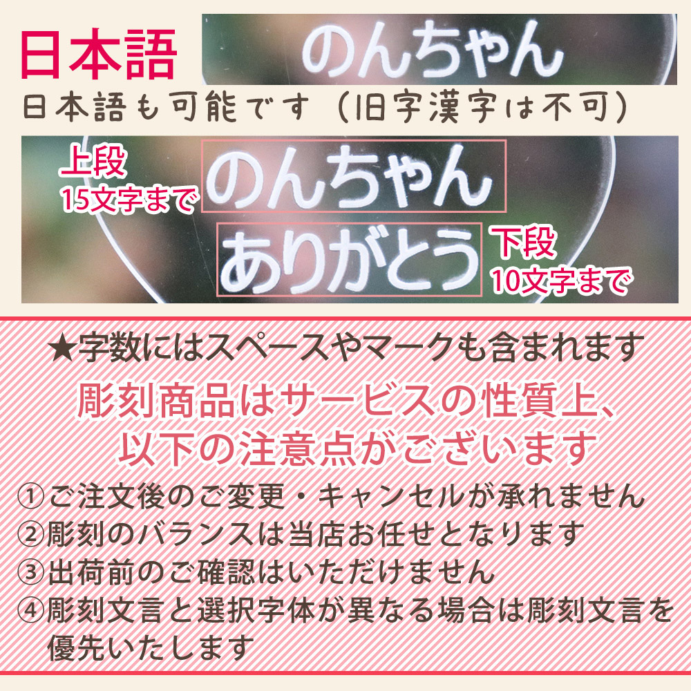 彫刻 名入れ プリザーブドフラワー ギフト 名前入り 誕生日 退職祝い 結婚祝い カーネーション プレゼント 贈り物 送料無料 クリスマス | プリザーブドフラワーIPFA | 18
