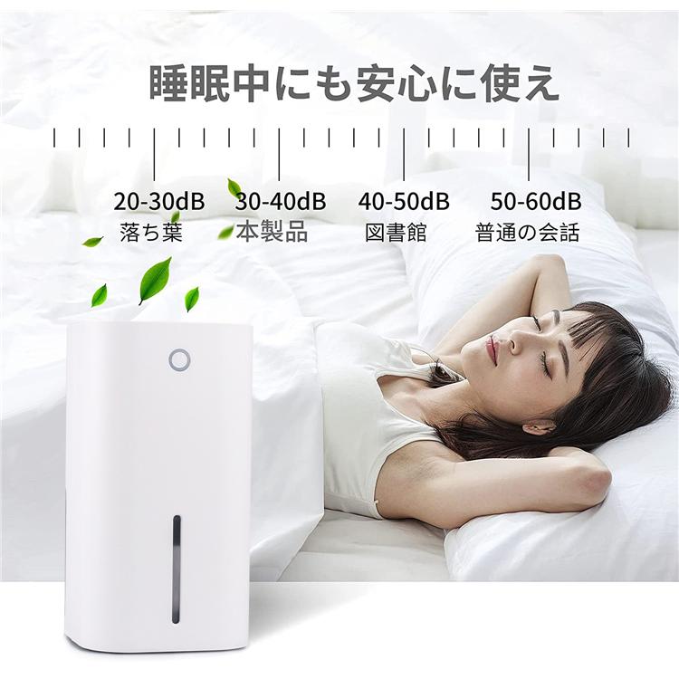 除湿機 除湿器 コンパクト 省エネ 梅雨対策 部屋干し カビ防止 静音