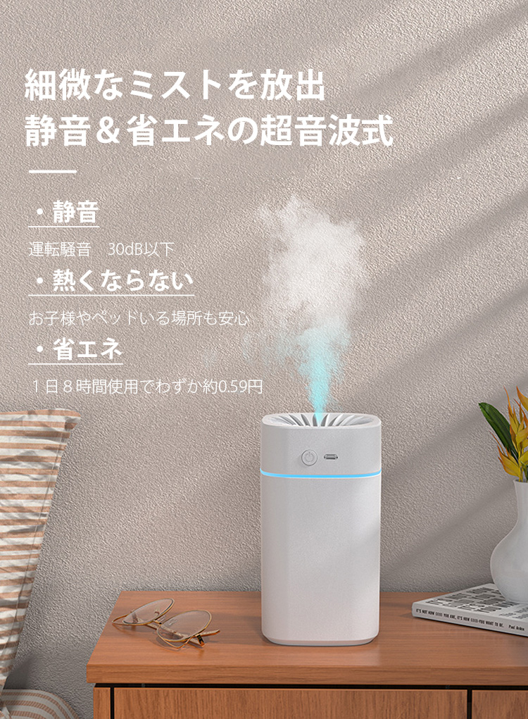 加湿器 超音波加湿器 小型 卓上 静音スチ−ム式 空気清浄 省エネ 除菌