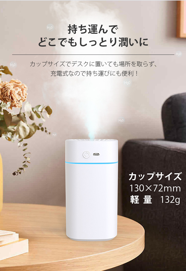 加湿器 超音波加湿器 小型 卓上 静音スチ−ム式 空気清浄 省エネ 除菌
