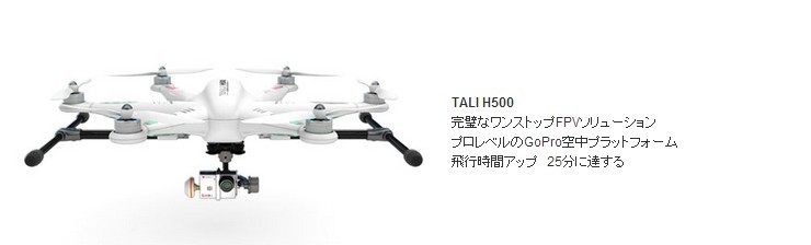 ワルケラ（WALKERA） ＜ワルケラ正規代理店ゴーウエル＞Walkera TALI 