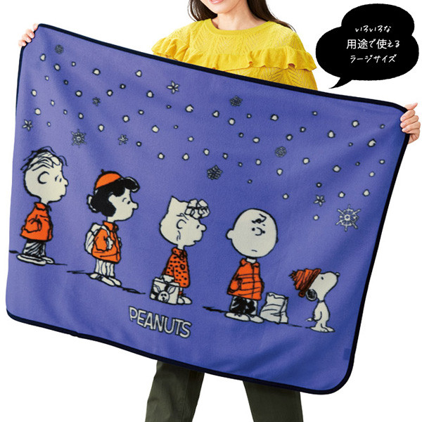 ブランケット ノベルティ 景品 粗品 冬 まとめ買い キャラクター 大判