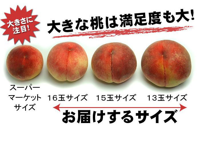喜ばれる大きな桃15〜16サイズ