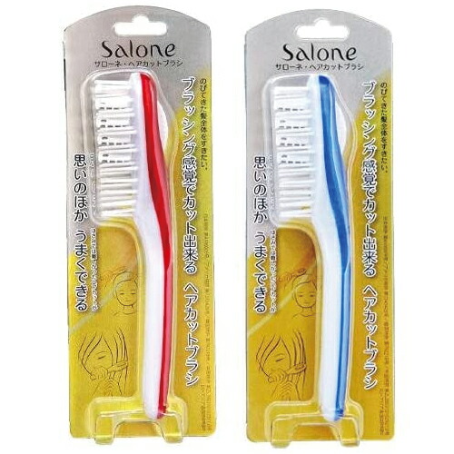 salonehcb_a1.jpg