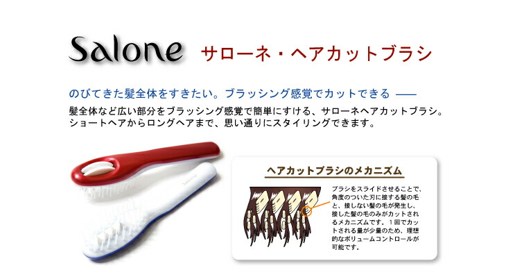 salonehcb_a3.jpg
