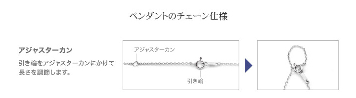 遺骨ペンダント Soul Jewelry チタン クオーレ プレーン 遺骨