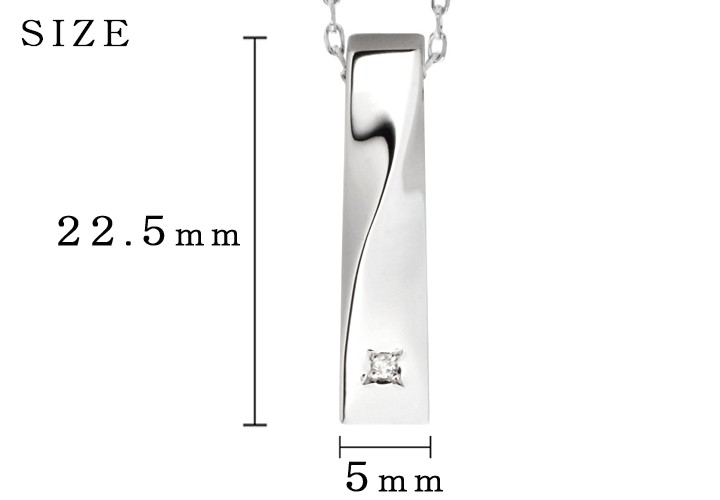最適な材料 遺骨ペンダント Soul Jewelry ツイスト シルバー925 激安単価で Kuljic Com