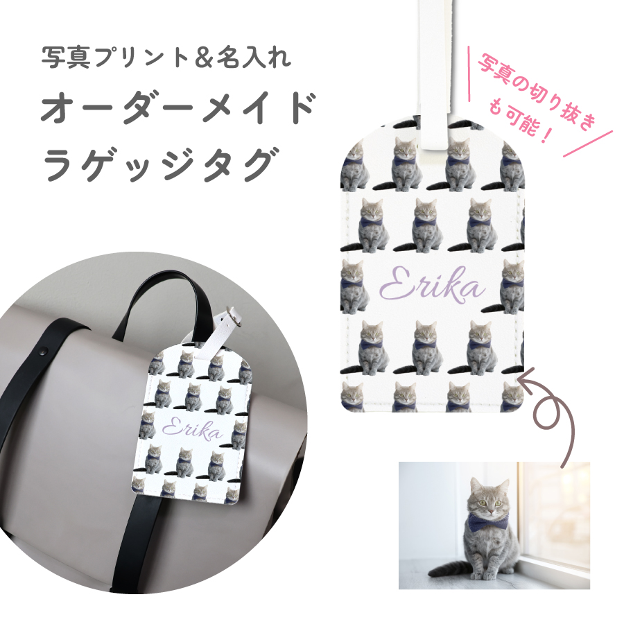 ユニゾンスクエアガーデン キャリーケース クリアファイルラゲッジタグお付けします Amazon.co.jp: UNISON SQUARE GARDEN キャリーバッグ UNISON