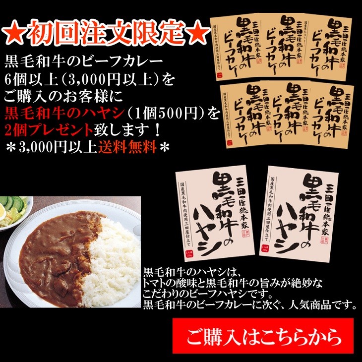 送料無料!大人気!三田屋総本家黒毛和牛のビーフカレー2個セット