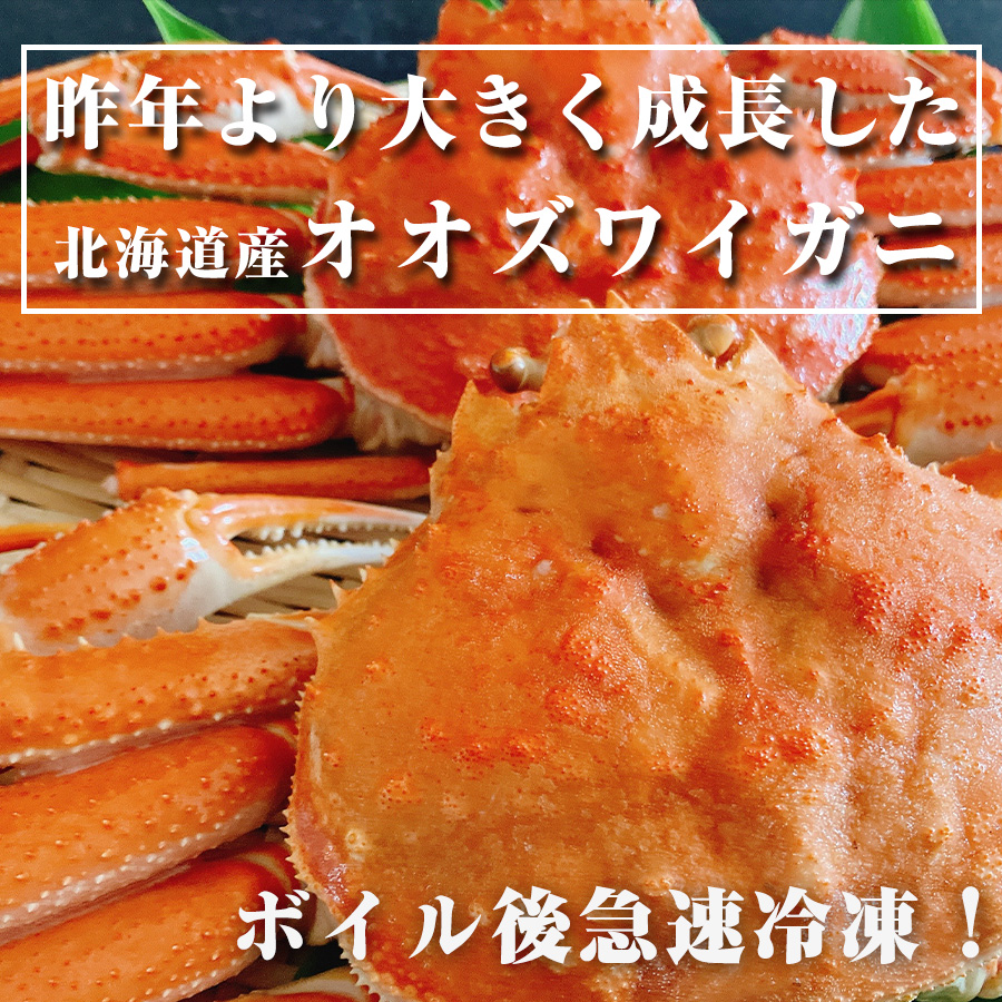 オオズワイガニ 北海道産 ズワイガニ ボイル 姿 冷凍 オオズワイ