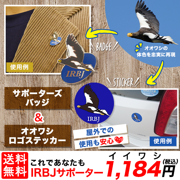 IRBJサポートスターターセット 送料無料 オオワシ 大鷲 野鳥 鳥 動物