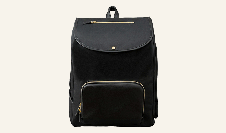 IRIS OHYAMA（アイリスオーヤマ） ＼ジャーキーおまけ付き／ 猫