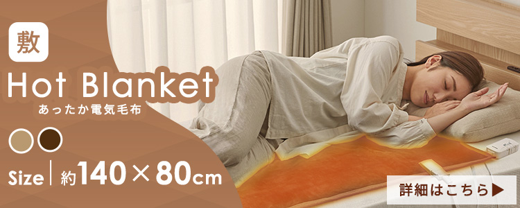 IRIS OHYAMA（アイリスオーヤマ） 電気毛布 掛け敷き シングル 節電