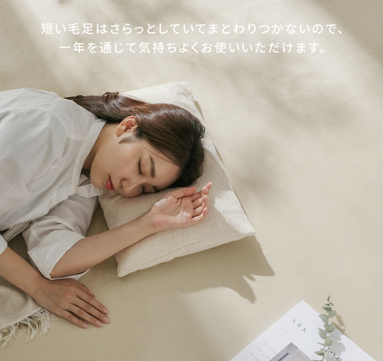 [未使用・未開封] IRIS OHYAMA ホットカーペット 2畳 IRIS OHYAMA ホットカーペット 2畳 本体 176×176cm おしゃれ