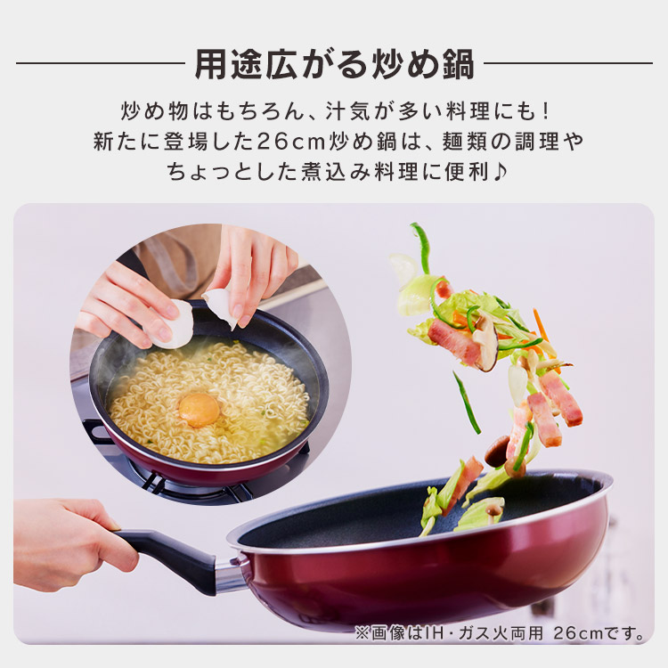 IRIS OHYAMA フライパン 26cm 深型 ガス ガス火専用 鍋 片手鍋
