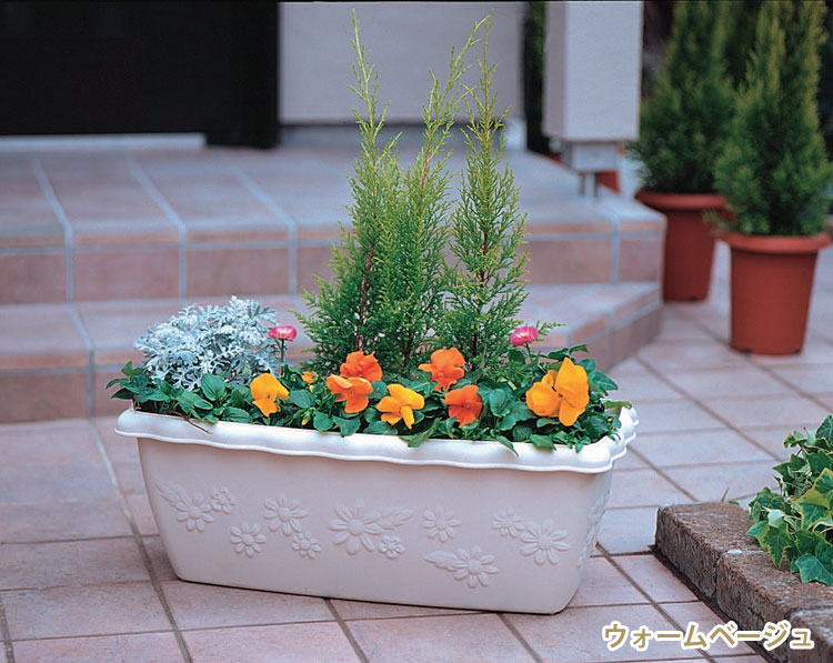112041-scn01-y.jpg