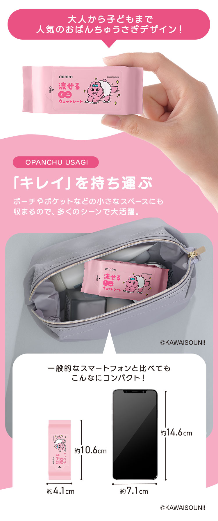 IRIS OHYAMA（アイリスオーヤマ） ウェットティッシュ 携帯 流せる 144