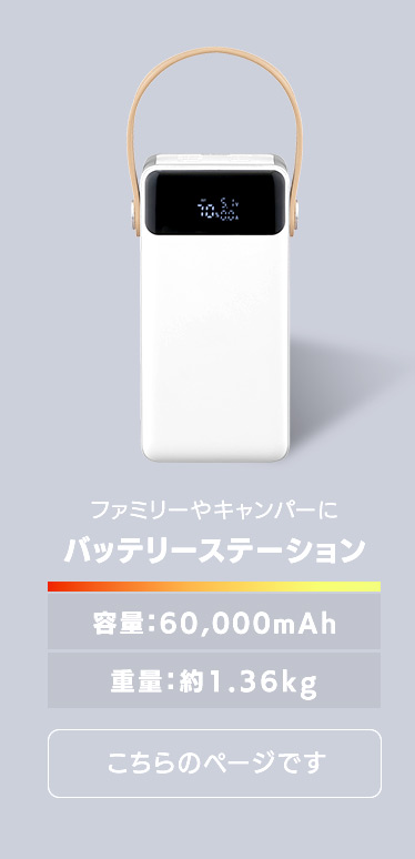 IRIS OHYAMA（アイリスオーヤマ） バッテリーステーション 60000mAh 大