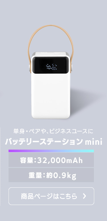 IRIS OHYAMA（アイリスオーヤマ） バッテリーステーション 60000mAh 大