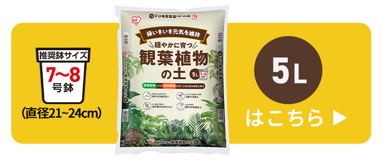 常備浴 250g 10種の植物エキス配合 穏やかに育つ観葉植物の土 10L IHPC-10L: アイリスオーヤマ公式通販