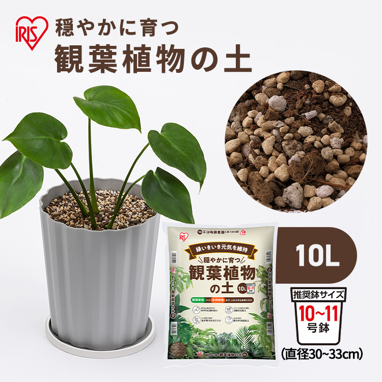 穏やかに育つ観葉植物の土 10L IHPC-10L: アイリスオーヤマ公式通販