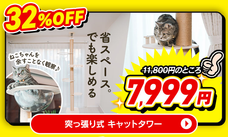 プリスクリプション・ダイエット 療法食 猫用 CDマルチケア 2kg rdzdsi3 Amazon | ヒルズ プリスクリプションダイエット キャットフード