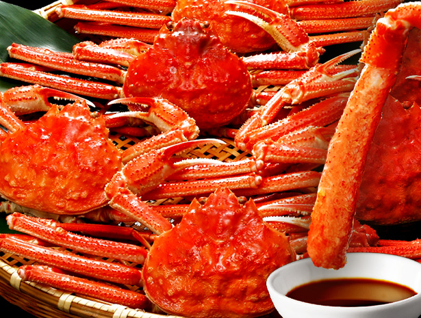 かに 北海道 おおずわい 北海道産 ボイルおおずわいがに姿 3kg（6〜8尾） 2096 (代引不可) (TD)