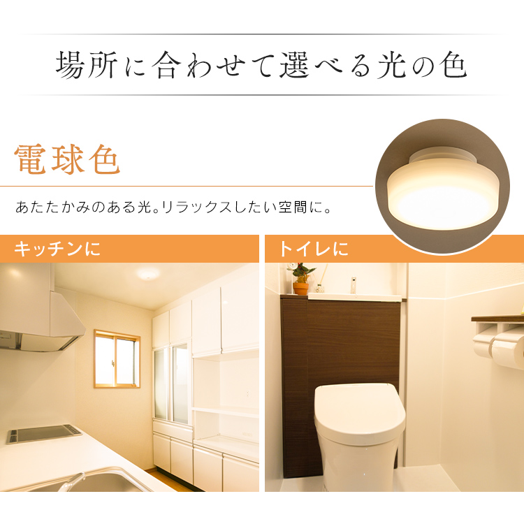 IRIS OHYAMA led シーリングライト 小型 LED 玄関 電気 照明