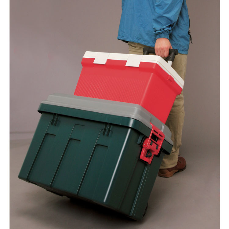 IRIS OHYAMA（アイリスオーヤマ） (2個セット) 収納 ボックス 収納