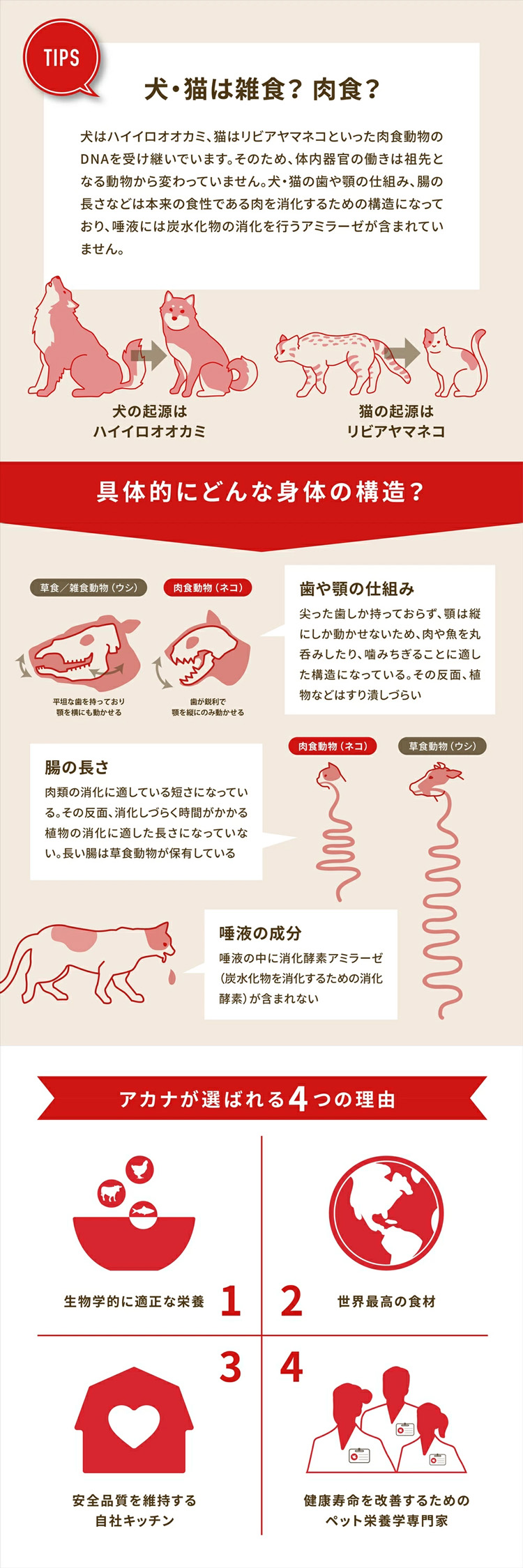 ACANA（アカナ） (アウトレット賞味期限印字不良) ドッグフード 犬用