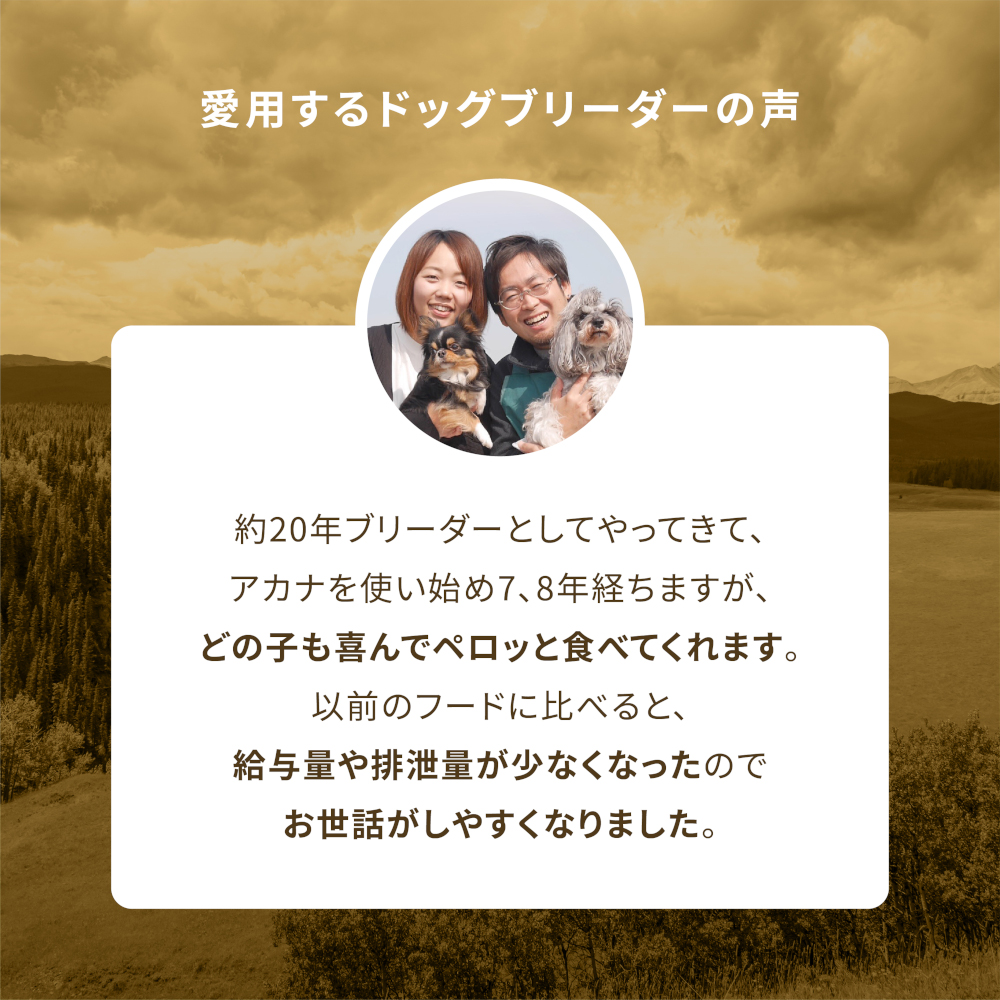(アウトレット賞味期限印字不良) ドッグフード 犬用 犬 フード ドライフード ACANA アカナ パシフィカドッグレシピ 6kgの画像