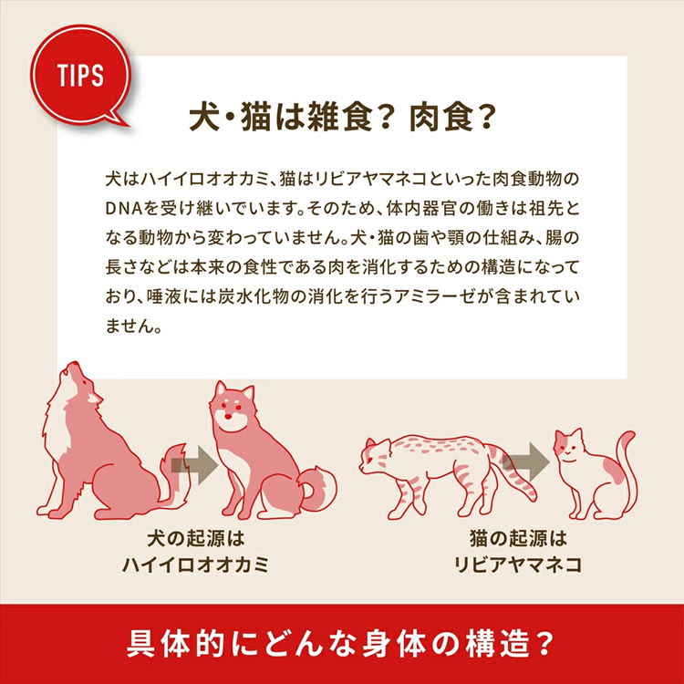 (アウトレット賞味期限印字不良) ドッグフード 犬用 犬 フード ドライフード ACANA アカナ パシフィカドッグレシピ 6kgの画像