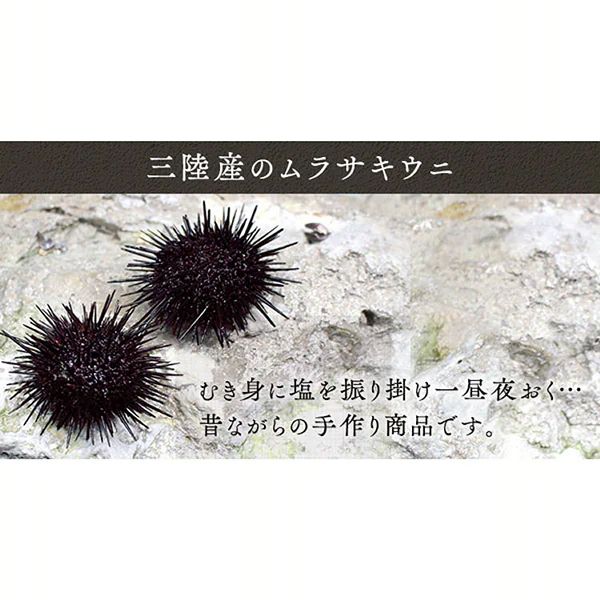 うにウニ国産ムラサキウニご飯のお供お酒のつまみツマミ雲丹肴塩ウニ100g 