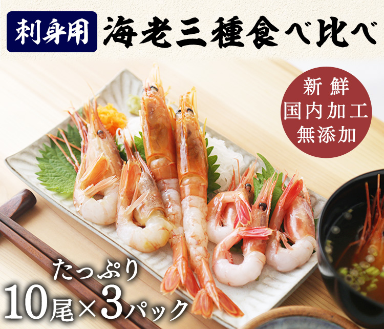 楽天市場】食品サンプル フェイクフード お寿司 リアル 人気