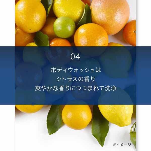 6個セット］ミューズメン ボディーウオッシュ 詰替 450ml (D)