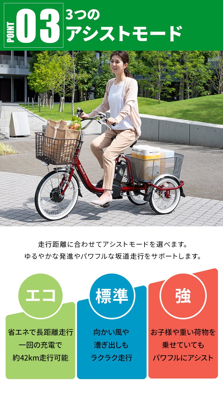 低価国産sakura mochi様専用　Peltech 電動アシストTDR-163L 自転車本体