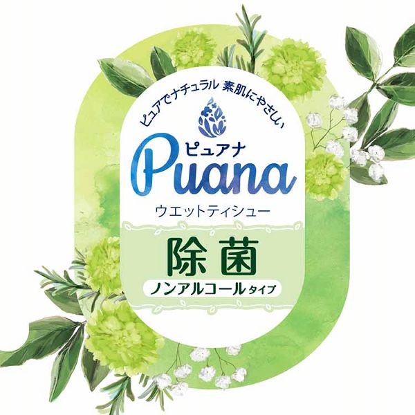大王製紙Puana除菌ウェットティッシュノンアルコール本体無添加無香料抗菌ワンプッシュエリエールピュアナウエットティシューノンアルコールタイプ本体47枚 