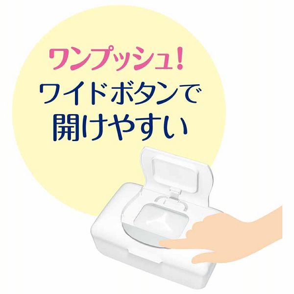 大王製紙Puana除菌ウェットティッシュノンアルコール本体無添加無香料抗菌ワンプッシュエリエールピュアナウエットティシューノンアルコールタイプ本体47枚 