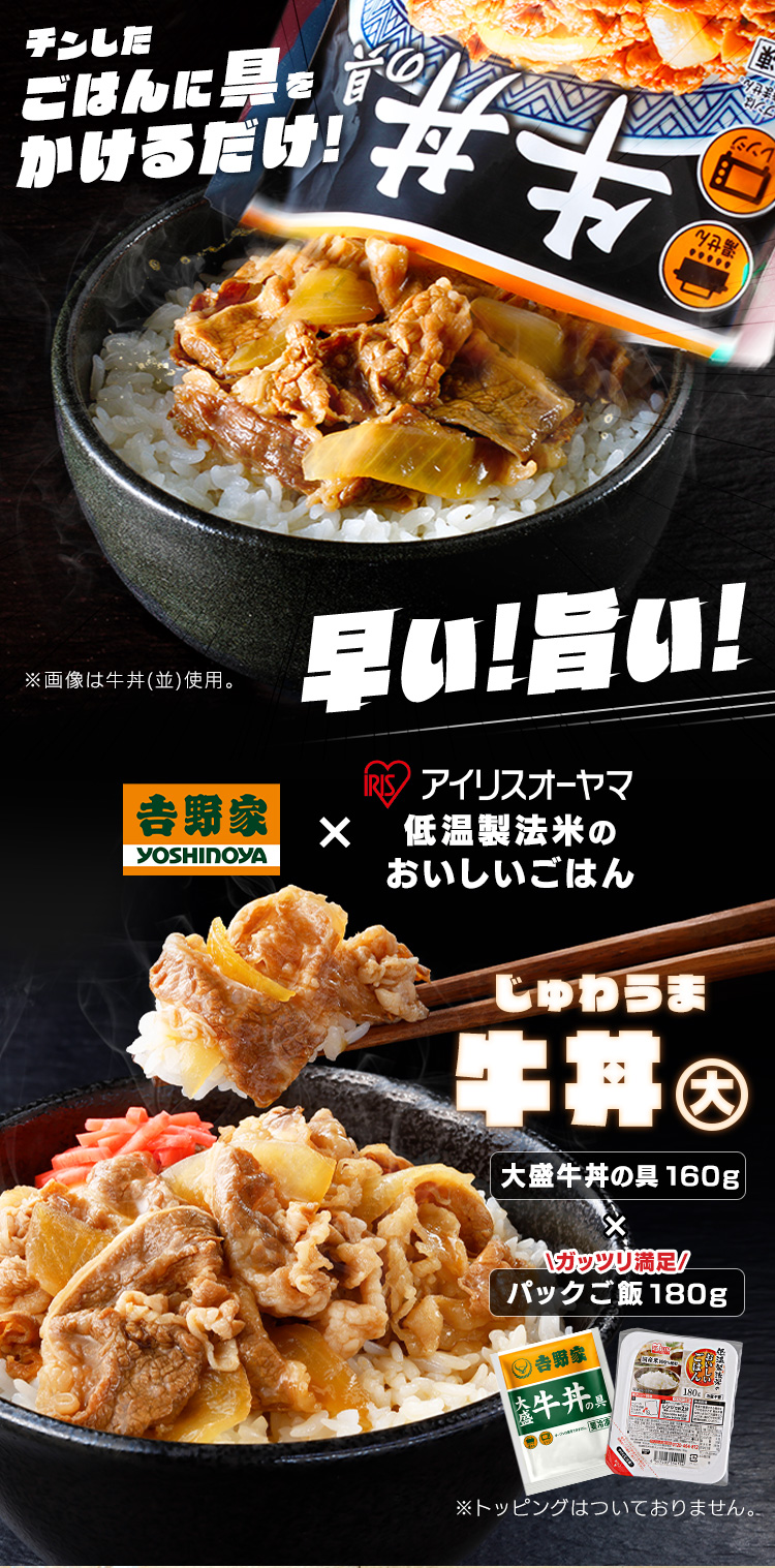 吉野家 牛丼の具 大盛 160g 30食セット パックご飯 180g×40