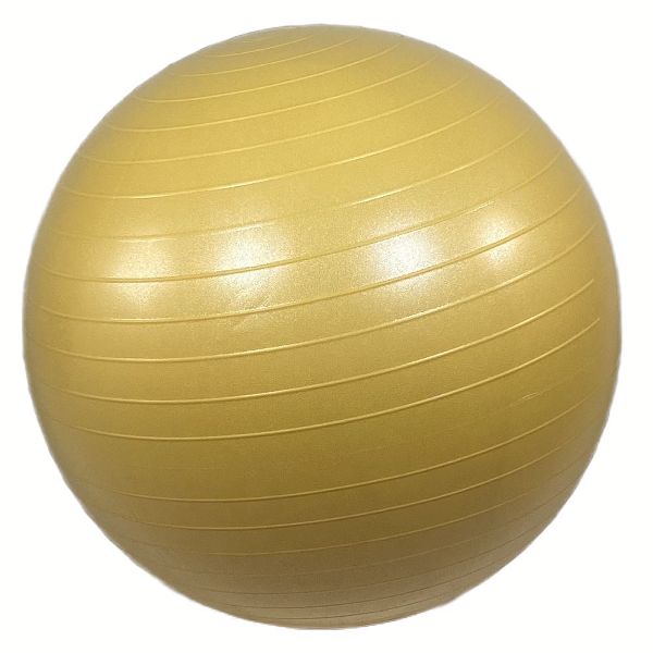 バランスボール 65cm ストレッチ 筋トレ 体幹 トレーニング